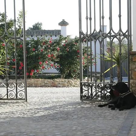 El Fogon Del Duende