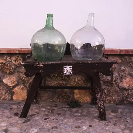 El Fogon Del Duende