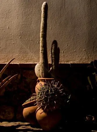 El Fogon Del Duende Frühstückspension Arcos de la Frontera